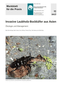 Merkblatt als PDF - Tilia Baumpflege AG