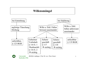 Willensmängel