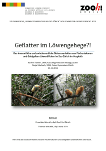Geflatter im Löwengehege?! - Stiftung Schweizer Jugend forscht