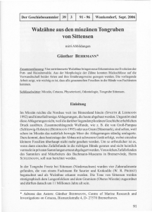 Walzähne aus den miozänen Tongruben von Sittensen