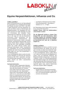 Equine Herpesinfektionen, Influenza und Co.