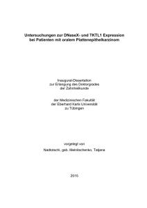 Dissertation Tatjana Nadtotschi