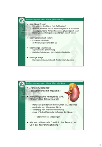 2011_6 - Biopharmazie III - schlehen