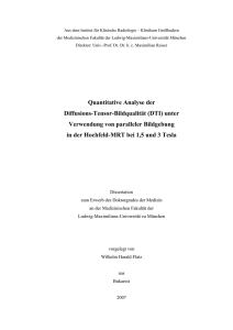 Quantitative Analyse der Diffusions-Tensor