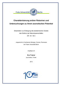 Charakterisierung avi&auml;rer Rotaviren und Untersuchungen zu ihrem