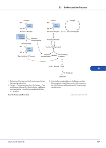67 6.2 Stoffwechsel der Fructose - Medi