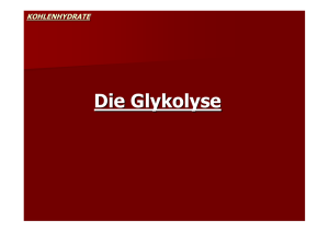 Die Glykolyse - Biochemie Trainingscamp