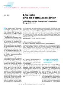 : Lonza-Studie über die Wirkung von L-Carnitin