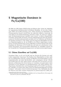 5 Magnetische Domänen in Fe/Cu(100)