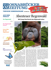 Abenteuer Regenwald