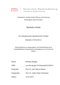 Bachelor Arbeit