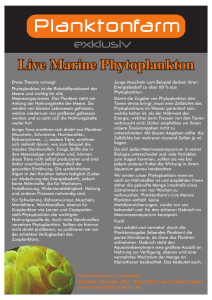 Planktonfarm - hr Meerwasseraquaristik