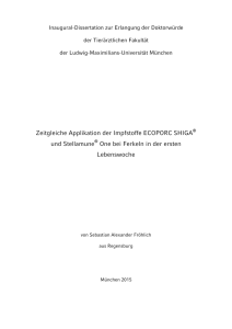 Zeitgleiche Applikation der Impfstoffe ECOPORC SHIGA® und