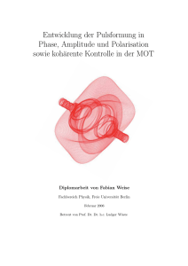Entwicklung der Pulsformung in Phase, Amplitude und Polarisation