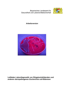 Leitfaden Shigatoxinbildende und andere pathogene Escherichia coli