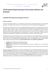 Multicast und Broadcast