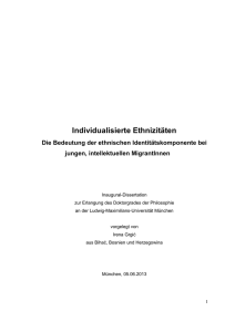 Individualisierte Ethnizitaeten. Die Bedeutung der ethnischen