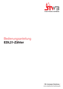 Bedienungsanleitung EDL21-Zähler