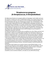 Streptococcus pyogenes (A-Streptococcus, A