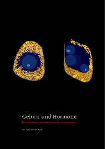 Gehirn und Hormone - Forschung Frankfurt - Goethe