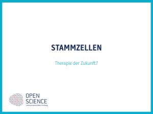 Stammzellen_Folien_O..