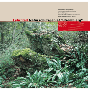 Lehrpfad Naturschutzgebiet "Strombierg"