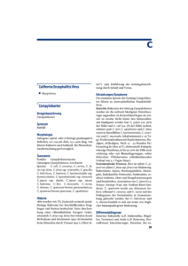 California Enzephalitis Virus Campylobacter