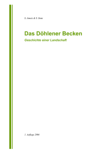 Das Döhlener Becken - Geschichte einer Landschaft