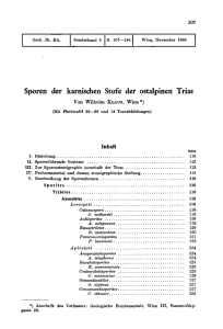 Sporen der karnischen Stufe der ostalpinen Trias