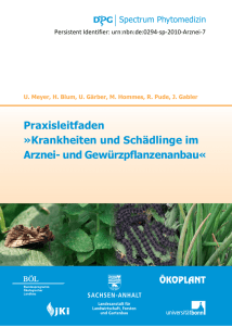 Praxisleitfaden Krankheiten und Schädlinge im Arznei