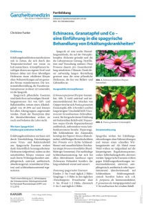 Echinacea, Granatapfel und Co–eine Einführung in die spagyrische