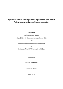 pdf-Dokument - Universität Bonn