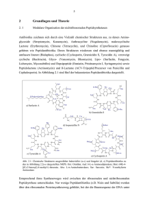 2 Grundlagen und Theorie