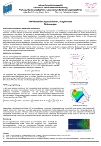 PDF-Modellierung turbulenter, reagierender Strömungen