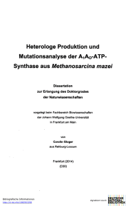 Synthase aus Methanosarcina mazei