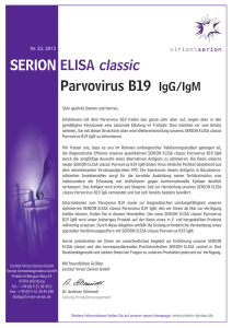 SERION ELISA classic Parvovirus B19 IgG/IgM