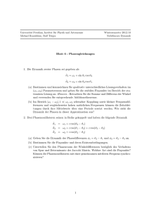 Blatt 6 : Phasengleichungen 1. Die Dynamik zweier Phasen sei