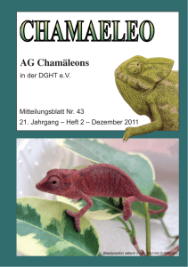 Chamaeleo 43 - Website der AG Chamäleons
