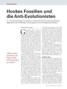 Hookes Fossilien und die Anti-Evolutionisten