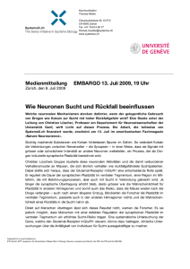 SystemsX.ch Medienmitteilung Gehirn und Sucht_20090708