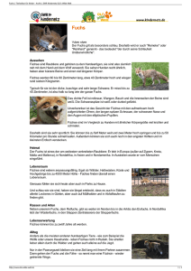 Fuchs PDF OLIs Tierlexikon