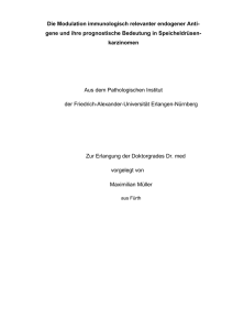 Maximilian MuellerDissertation