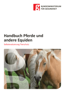 Handbuch Pferde und andere Equiden