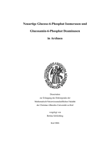 Neuartige Glucose-6-Phosphat Isomerasen und Glucosamin