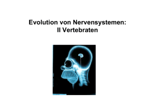 NeuroVorlseung_3_SS2011 - Goethe University Frankfurt