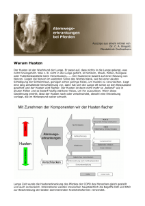 Atemwegs- erkrankungen bei Pferden Warum Husten