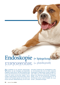 Endoskopie (= Spiegelung)