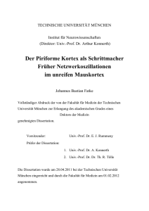 Der Piriforme Kortex als Schrittmacher Fr&uuml;her