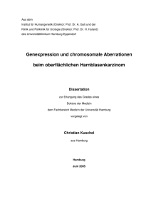 Genexpression und chromosomale Aberrationen beim