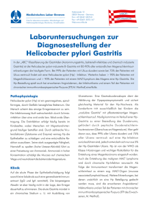 Helicobacter pylori Gastritis